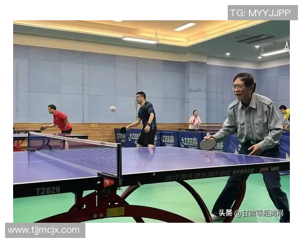 南京乒乓球队的训练与竞技状态全景揭秘探讨乒乓球的魅力与发展