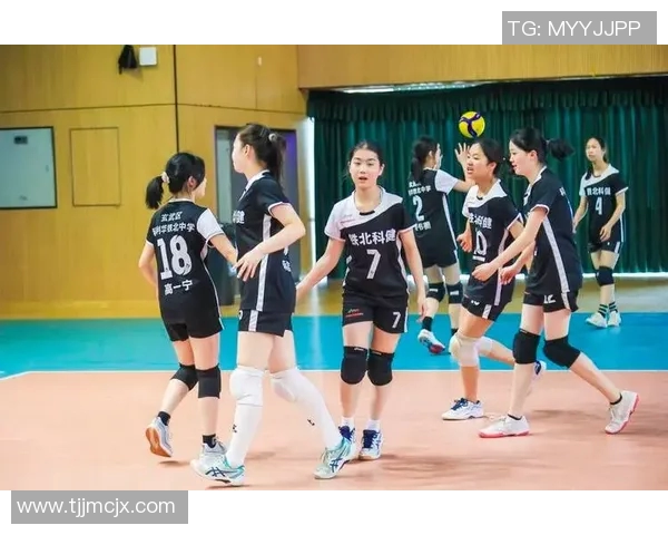 南京排球队在城市联赛中的耐力表现分析与启示